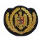 Emblema coifura ofiteri penitenciar ANP