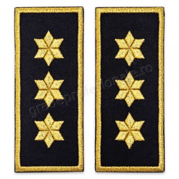 Grade Comisar Sef Penitenciar (simple)