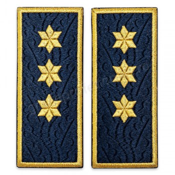 Grade Inspector Principal Penitenciar (brodate)