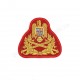 Emblema coifura oras fortele terestre - ofiteri