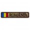 Ecuson Romania cu Drapel combat forte terestre