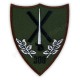 Emblema Batalionul 300 Infanterie Mecanizata "Sfantul Andrei"