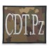 Emblema Comandant Paza (CDT. Pz)