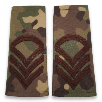 Grade Caporal clasa I-a combat forte terestre