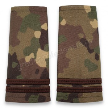 Grade Locotenent combat forte terestre