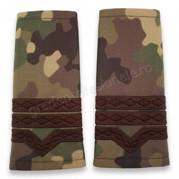Grade Maistru Militar clasa III-a combat forte terestre