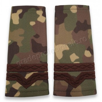 Grade Maistru Militar clasa IV-a combat forte terestre