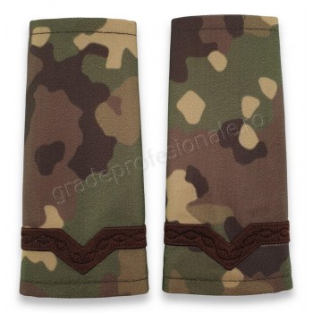 Grade Maistru Militar clasa V-a combat forte terestre