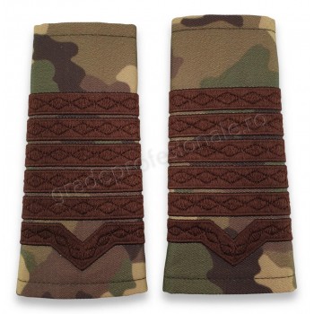 Grade Maistru Militar principal combat forte terestre