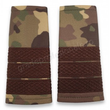 Grade Plutonier Adjutant combat forte terestre