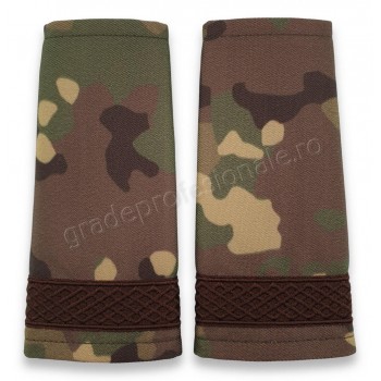 Grade Sergent combat forte terestre