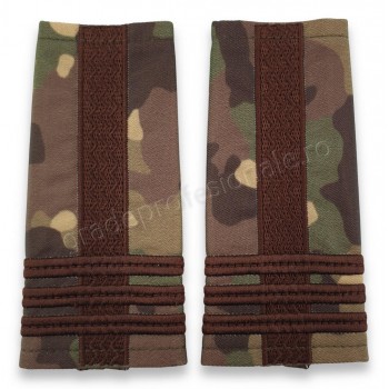 Grade Colonel combat forte terestre