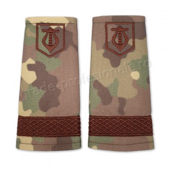 Grade Sergent combat forte terestre