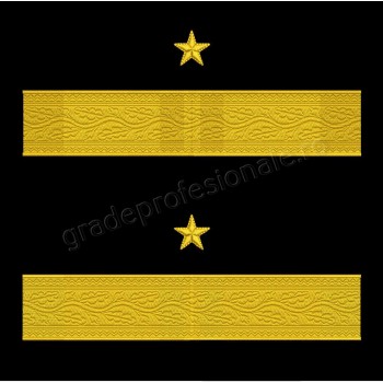 Grade maneca General de Brigada fortele terestre