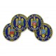 Emblema Inspectoratul de Jandarmi Judetean - IJJ brodata cu insemnul heraldic al tuturor unitatilor judetene