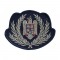 Emblema coifura ofiteri MAI Aparat Central