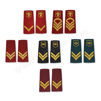 Grade oras soldati profesionisti Forte Terestre