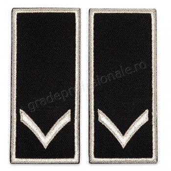 Grade Functionar Public Principal Politia Locala V2