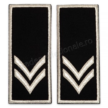 Grade Functionar Public Superior Politia Locala V2