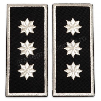 Grade Sef Politia Locala (director executiv) V2