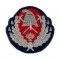 Emblemă coifură ofițeri pompieri,IGSU brodată cu fir metalic argintiu