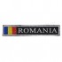 Ecuson Romania cu Drapel fir metalizat