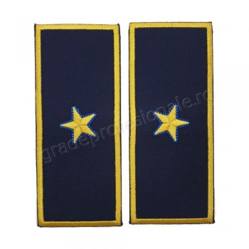 Grade Director Executiv Adjunct Vama