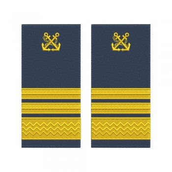 Grade inspector de specialitate ANR