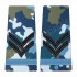 Grade Caporal Elev - Forte Aeriene combat (Colegii Militare)