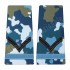 Grade Fruntas Elev - Forte Aeriene combat (Colegii Militare)