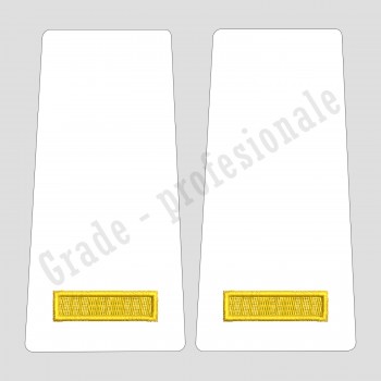 Grade Elev Anul I - Forte Navale oras - alb (Scolarizare 1 si 2 ani)