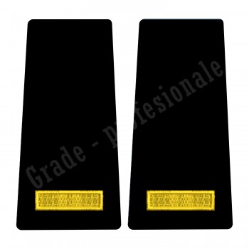 Grade Elev Anul I - Forte Navale oras - negru (Scolarizare 1 si 2 ani)