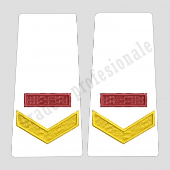 Grade Fruntas Student - Forte Navale oras - alb