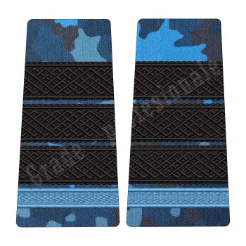 Grade Plutonier Adjutant Elev - Forte Navale combat (Colegii Militare)