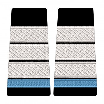 Grade Plutonier Adjutant Elev - Forte Navale oras - negru (Colegii Militare)