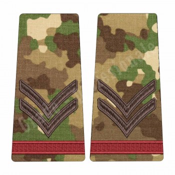 Grade Caporal Student - Forte Terestre combat