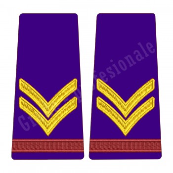 Grade Caporal Student - Forte Terestre oras 