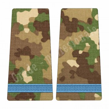 Grade Elev Anul I - Forte Terestre combat (Colegii Militare)