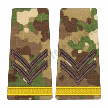 Grade Elev Caporal - Forte Terestre combat (Scolarizare 1 si 2 ani)