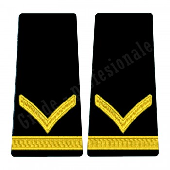 Grade Elev Fruntas - Forte Terestre oras (Scolarizare 1 si 2 ani)