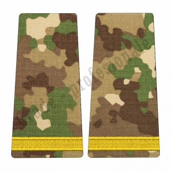 Grade Elev Negradat - Forte Terestre combat (Scolarizare 1 si 2 ani)