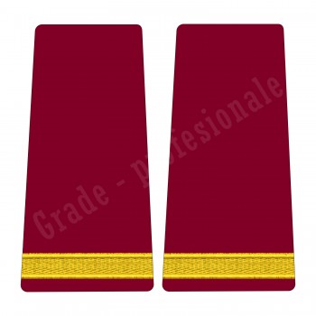 Grade Elev Negradat - Forte Terestre oras (Scolarizare 1 si 2 ani)