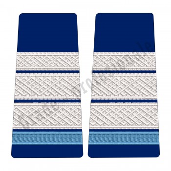 Grade Elev Plutonier Major - Forte Terestre oras (Colegii Militare)