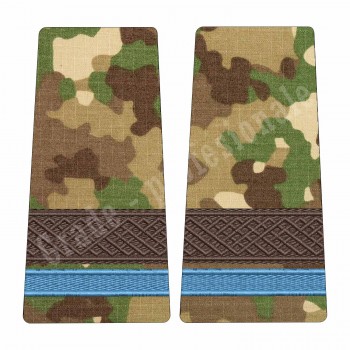 Grade Elev Sergent - Forte Terestre combat (Colegii Militare)