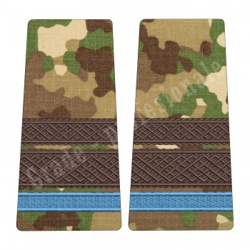 Grade Elev Sergent Major - Forte Terestre combat (Colegii Militare)