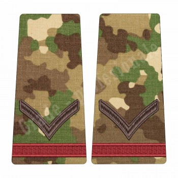 Grade Fruntas Student - Forte Terestre combat