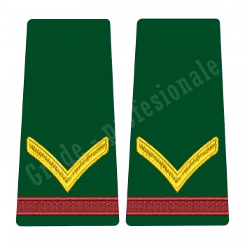 Grade Fruntas Student - Forte Terestre oras 