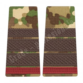 Grade Plutonier Major Student - Forte Terestre combat