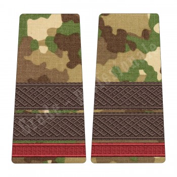 Grade Plutonier Student - Forte Terestre combat