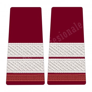 Grade Plutonier Student - Forte Terestre oras 